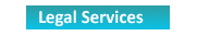 Software Services