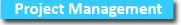 project management