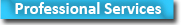 CJP Professional Services